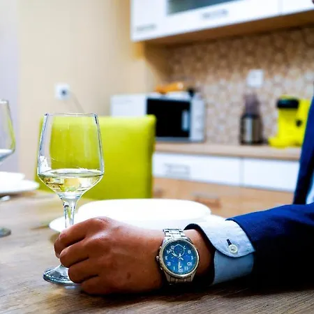 Lejlighed Apartament Central Timisoara