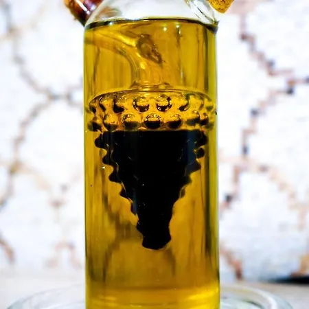 Apartament Central Timisoara Apartment