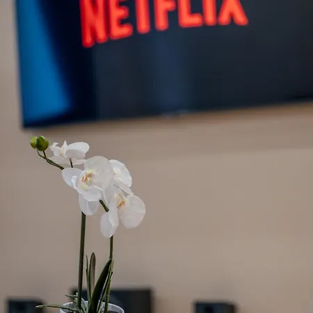 Apartament Central Timisoara Timişoara