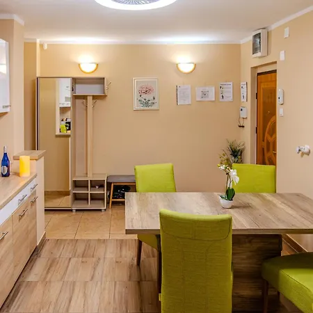 Apartament Central Timisoara *