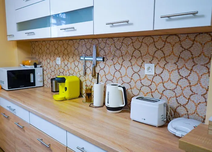 Lägenhet Apartament Central Timisoara Timişoara