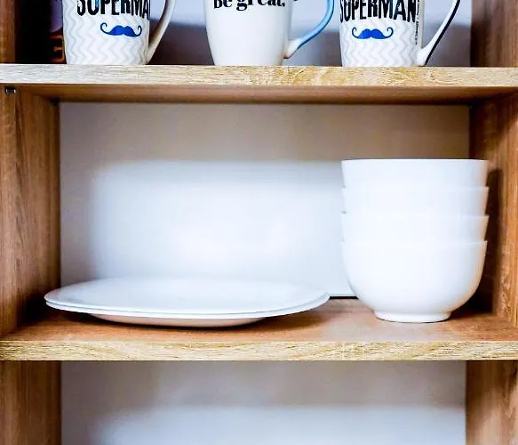 Apartament Central Timisoara Lägenhet Timişoara