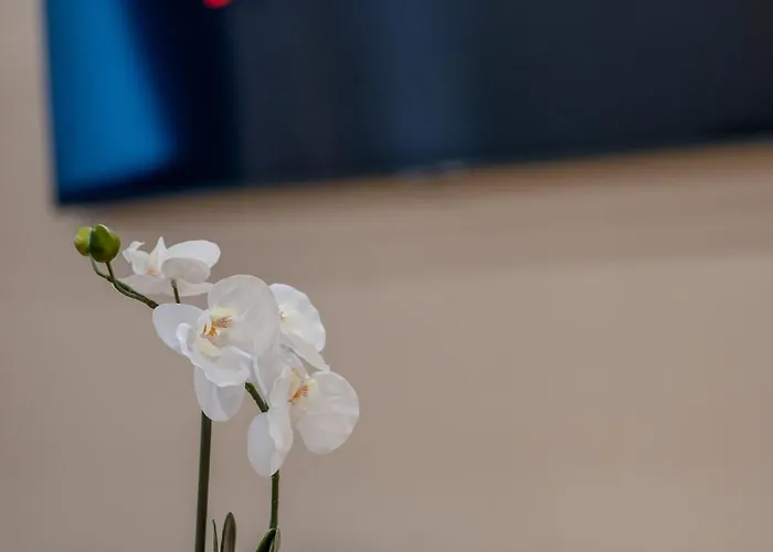 Apartament Central Timisoara Timişoara