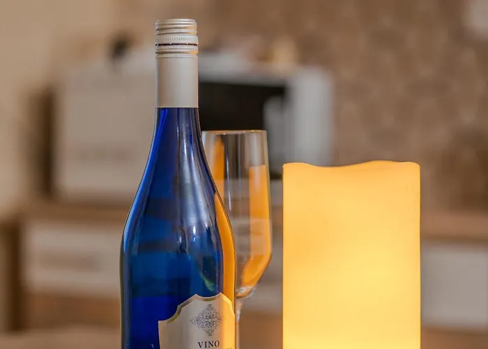 Apartament Central Timisoara *